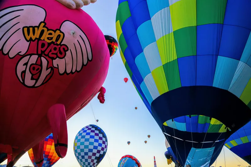 The Escaped Balloon Pig That Became an Official New Mexico Landmark and Exposed a Massive Hole in Federal Law